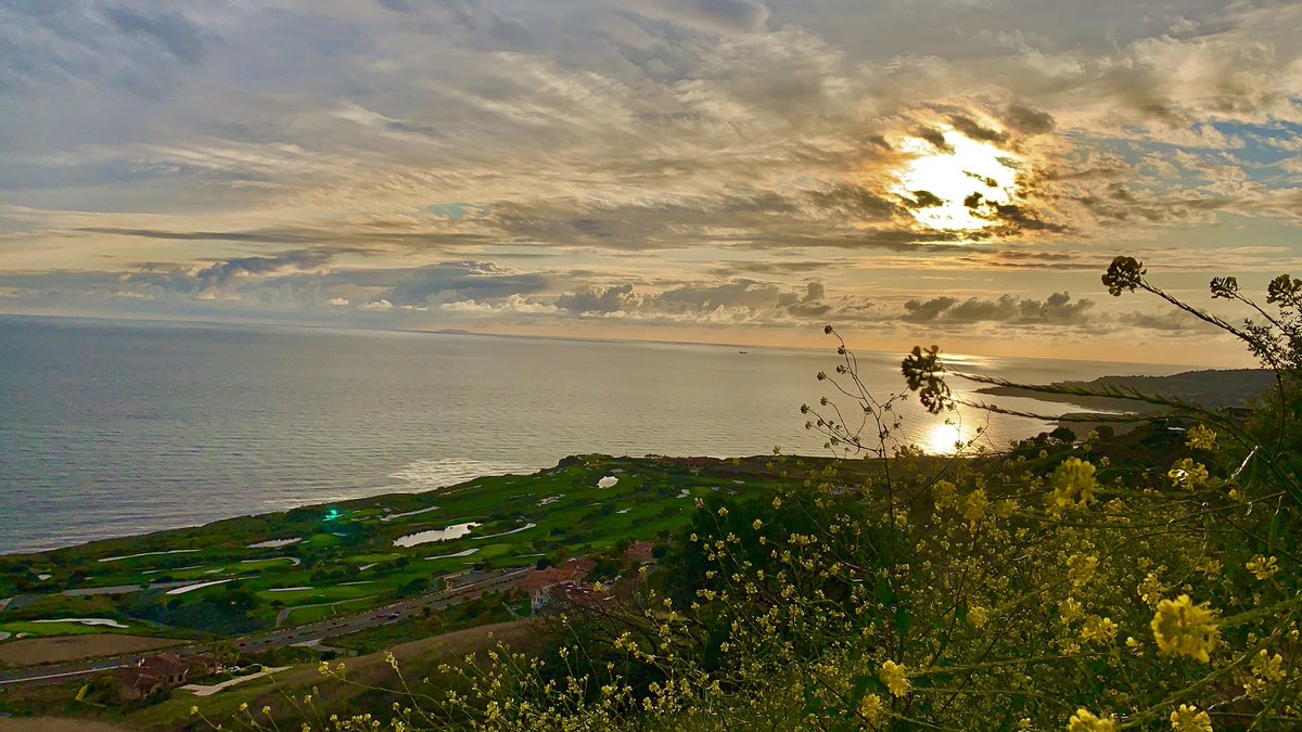 MESHARI 505👑✨ tweet media