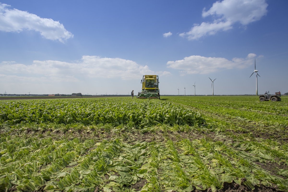 Growers that convert to organic face challenging times, read about creative solutions during corona measures bit.ly/2JMUz4I #OrganicFarming #COVID19