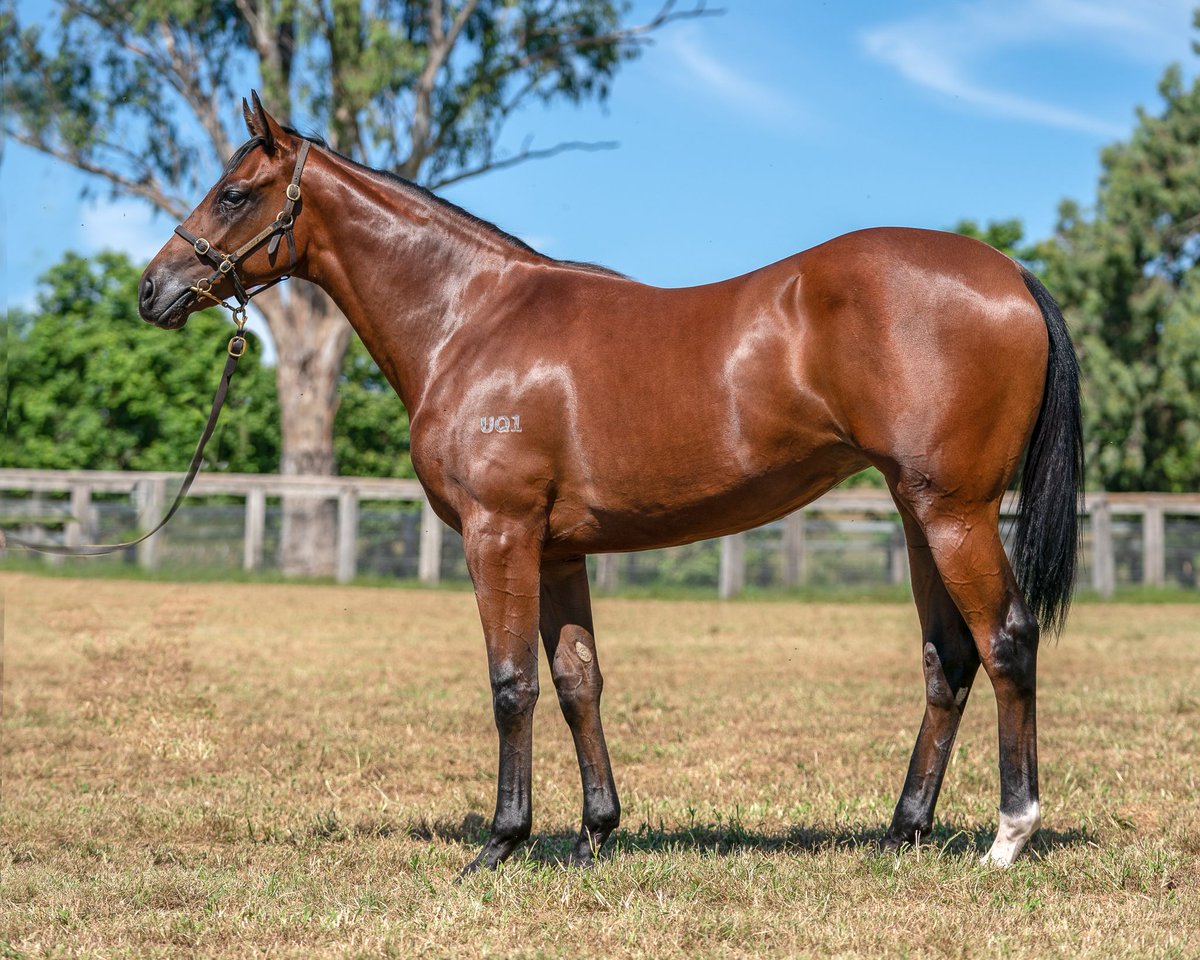 G1Goldmine tweet media