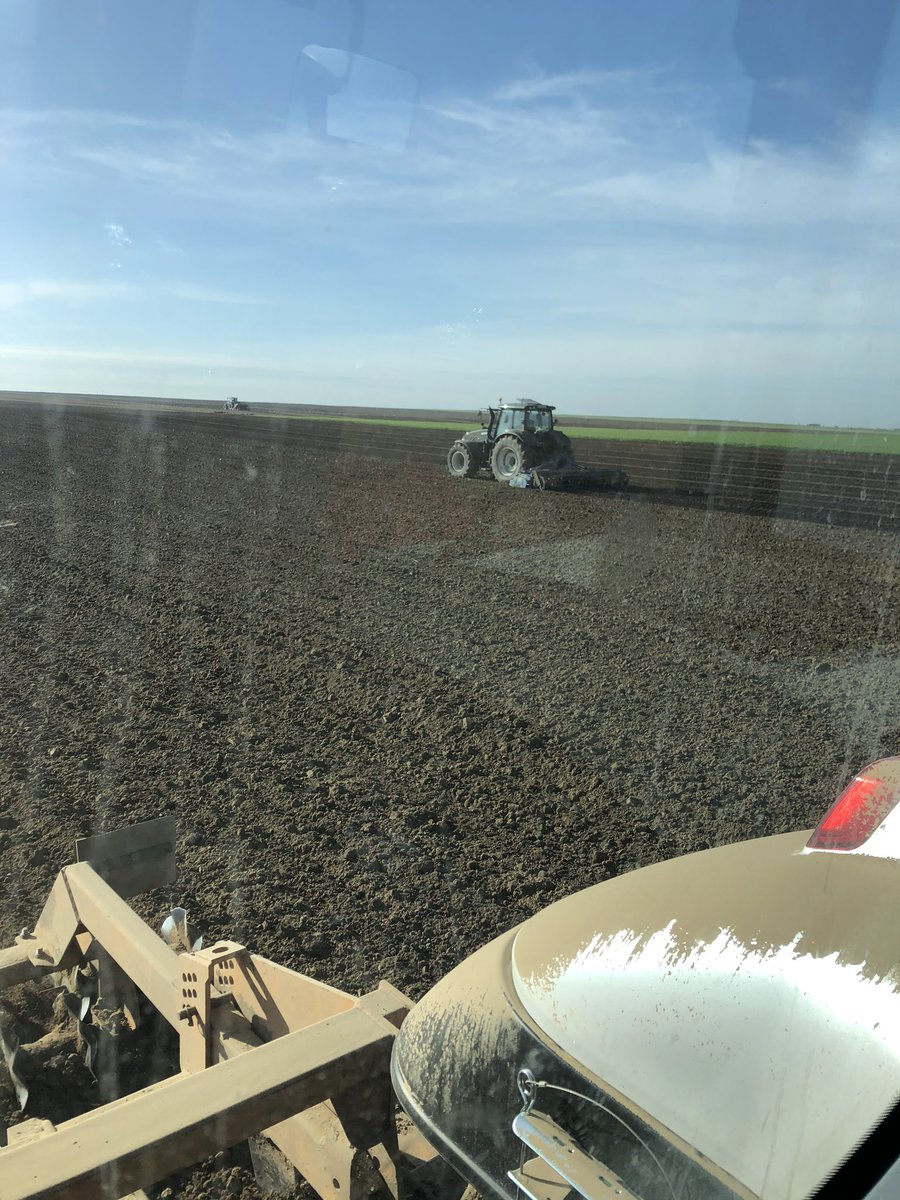 Lanvin14J's tweet photo. Aujourd’hui et pendant 4 jours on prépare la terre et on plante #misspotatoes pour faire des frites 🍟 @ValtraGlobal #techmagri #rabewerk @GRIMMEGroup #mydibel https://t.co/9gZ3pkjWo2