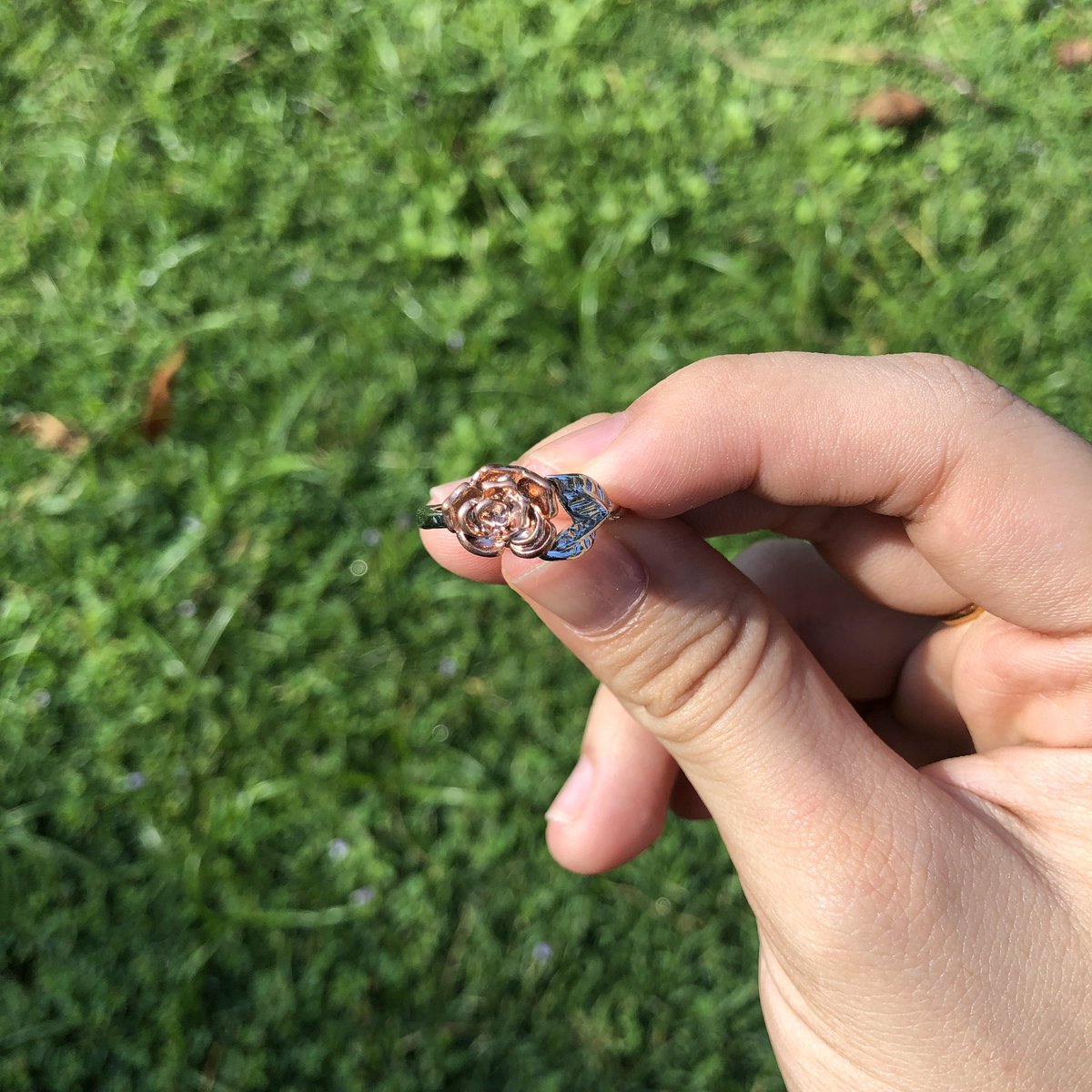twinkletrinket_'s tweet photo. “ but he who dares not grasp the thorn, should never crave the rose. “ 🥀 

The rose series 🌹 

RM 10 - ring 💍
RM 12 - necklace 📿

Postage fee - RM 8 SM // RM 12 SS https://t.co/c47U0c0jtx