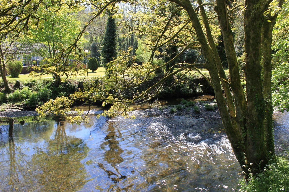 CoastCountryPks's tweet photo. River views at Notter Bridge. 
#fishingholidays
#riverlife
#stayingathome https://t.co/98YVBybFle