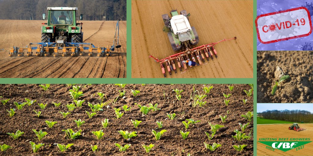SugarBeetEurope's tweet photo. 📢@SugarBeetEurope issues its #sugar market update monitoring the impacts of #COVID19 on 🇪🇺 sugar #beet sector: as sowing is ongoing negative external factors are accumulating, in this turmoil, #growers call to adress them &amp; foresee safeguard measures ➡️ https://t.co/4itKYiasdd https://t.co/RCBzSscXvr