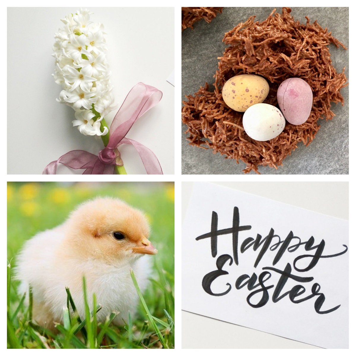 FoodieForce's tweet photo. If your lucky enough to have the ingredients to make chocolate nests, make some and share a picture. I can live a foodie life vicariously through you #foodieforce #easter #foodblogger #foodie #fdblogger #baking https://t.co/u3jNBYuonH https://t.co/NjZi3DyaTo