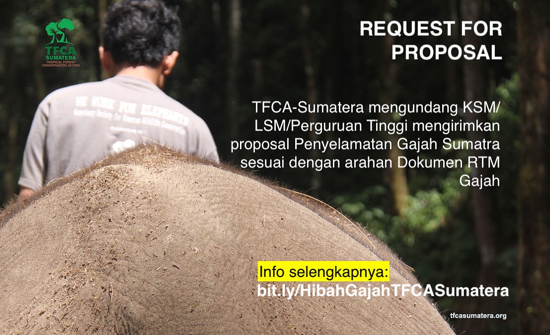 tfcasumatera's tweet photo. Undangan pembuatan proposal pd siklus hibah 8 TFCA-Sumatera tema Penyelamatan Gajah Sumatra. More info: https://t.co/8iHl0XlxwR https://t.co/5gooDgZpNI