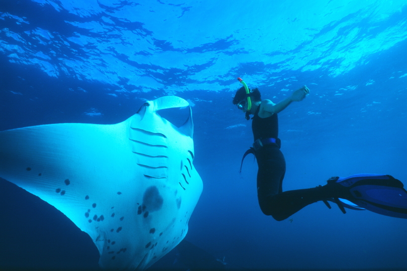 Mantalodge's tweet photo. Looking forward to getting back in the ocean soon.. Stay positive. Stay Safe. Look after each other. https://t.co/ezQznNkSy0