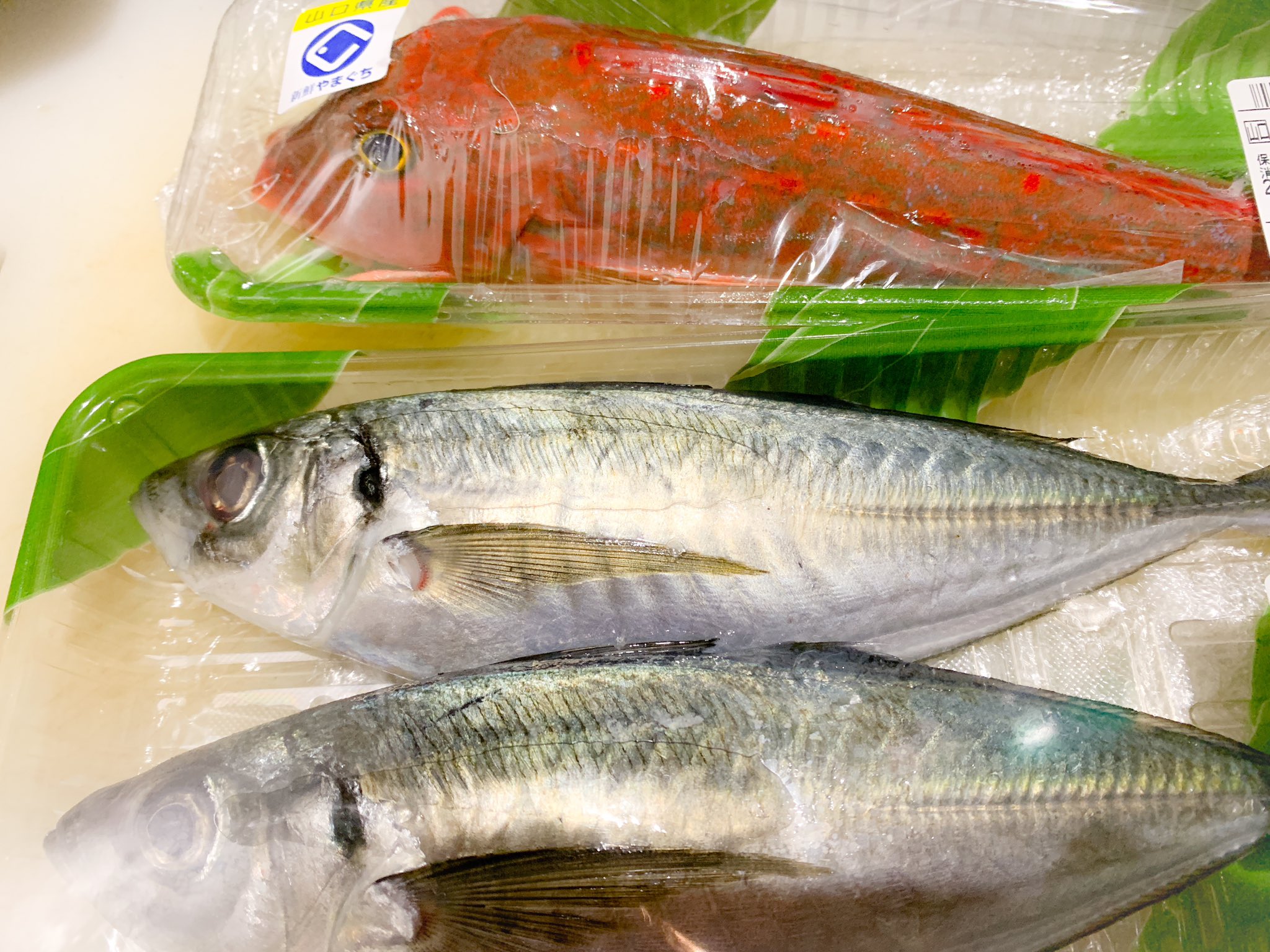 榎本 敦 בטוויטר きまぐれクックかねこ氏の魚捌く動画観て フォロワー氏のカワハギ捌くツイも見てしまったもんだから スーパーでアジとホウボウ買ってきた もうちょっと新鮮で面白い魚を取り扱ってると良いんだけどね 10分歩いてでも魚屋さんに行くべきだった 榎本 敦 בטוויטר きまぐれクックかねこ氏の魚捌く動画観て フォロワー氏のカワハギ捌くツイも見てしまったもんだから スーパーでアジとホウボウ買ってきた もうちょっと新鮮で面白い魚を取り扱ってると良いんだけどね 10分歩いてでも魚屋さんに行くべきだった