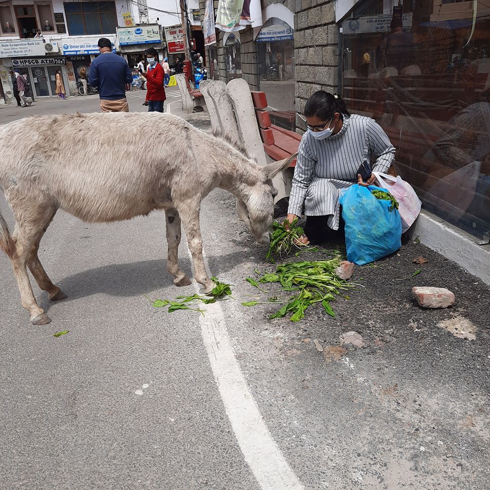 yashrazz's tweet photo. #kindness #caremongering #COVID19 

@narendramodi @PMOIndia @MamataOfficial @peta @PetaIndia https://t.co/drxYw0Hy4a