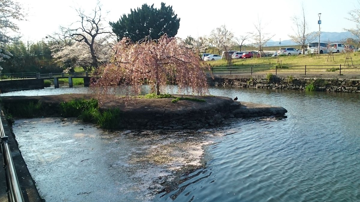 たぬきうどんランド 徳島県民なら誰もが知ってた四国最大級の遊園地 吉野川遊園地の跡地 閉園からもう9年 W 吉野川遊園地