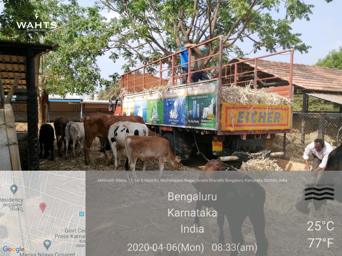 cupa large animal rescue centre