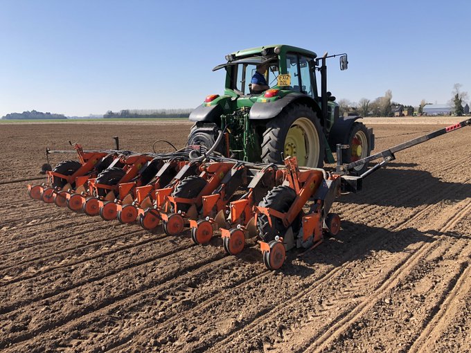 British Sugar tweet media