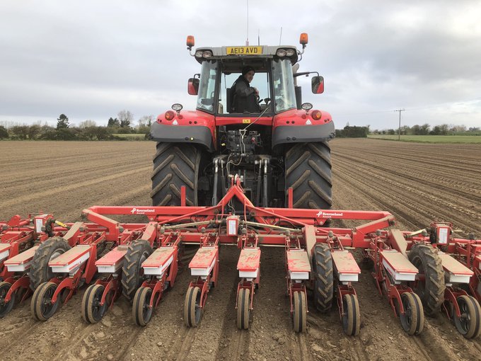 British Sugar tweet media