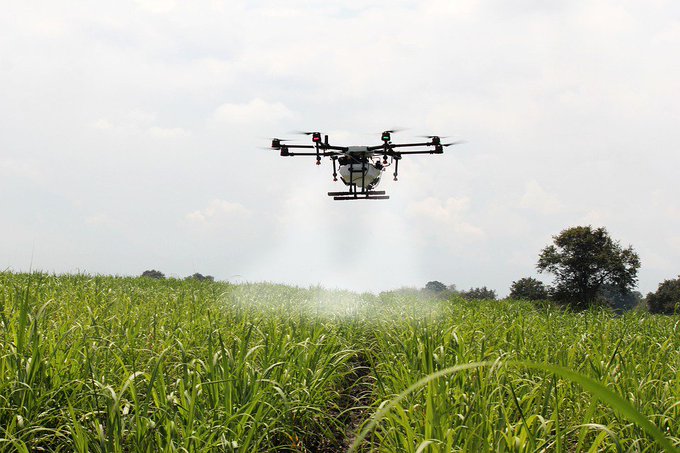 JoseRamonAcin's tweet photo. 👏🛰🌱📊 El proyecto de #agricultura de precisión de #SmartAGServices (@AgTechAndalucia) consigue un ahorro de hasta el 15% en #agua y #fertilizantes.
Por @europapress 👉👉 https://t.co/zDlCCVwpaS https://t.co/NHiVggfyWC