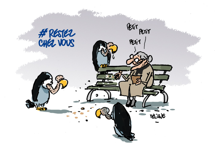 fdeligne's tweet photo. C'est le printemps, les oiseaux chantent, les confinés déchantent. #RestezChezVous #dessin https://t.co/aodSUpypjQ