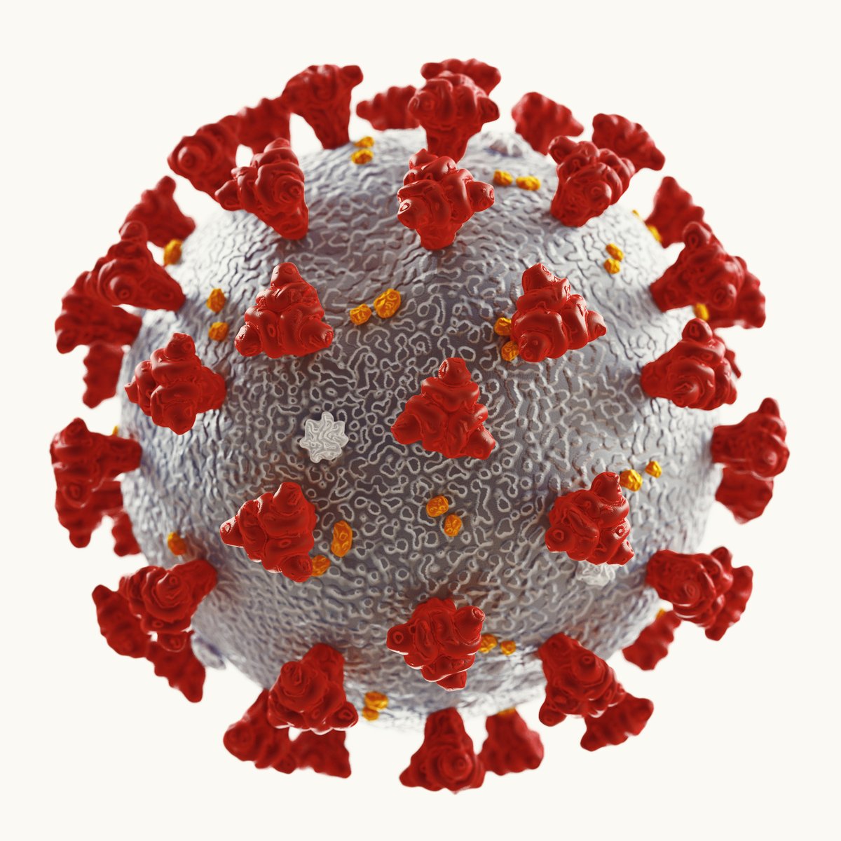 ProfPaulWelfens's tweet image. .@MartinGreive es ist gefährlich,in einer #Ausnahmesituation den #Wahlkampf der #Normalzeit führen zu wollen. Das bringt enorme Verwirrung; so macht die #AfD das ja jetzt gerade -u. das können Verteidiger der Demokratie ja nicht als Modell nehmen. #Grüne-Schnellschüsse gefährlich