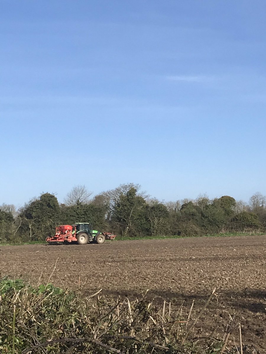 CaoimheDelany's tweet photo. Not all #supplyChain starts in a factory #2kmfromhome #madeinmeath #SocialDistancingNow https://t.co/ZKpsQFsZew