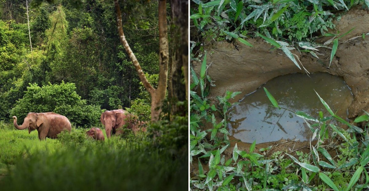 TU SAIS PAS QUOI ?! tweet media