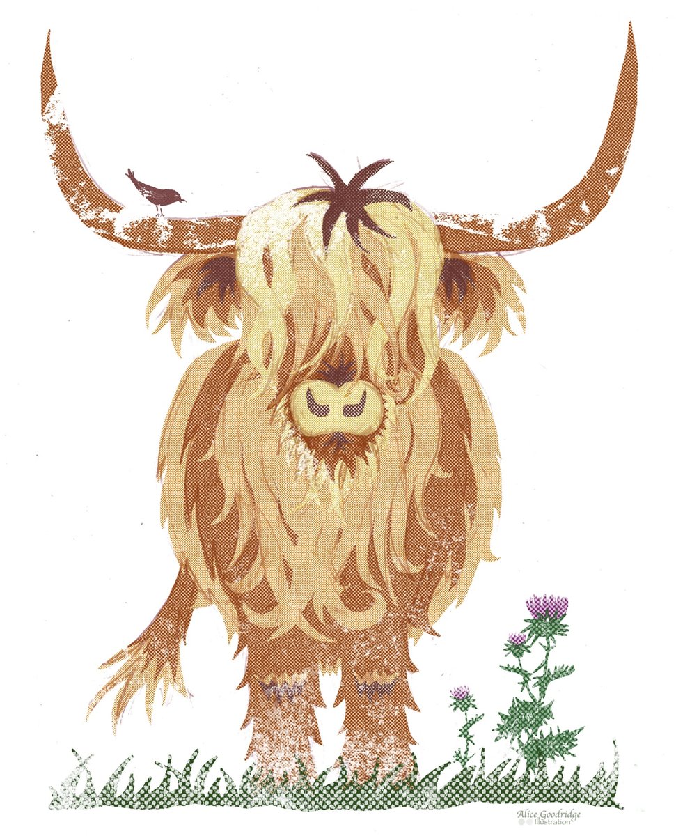 Alice Goodridge Illustration tweet media