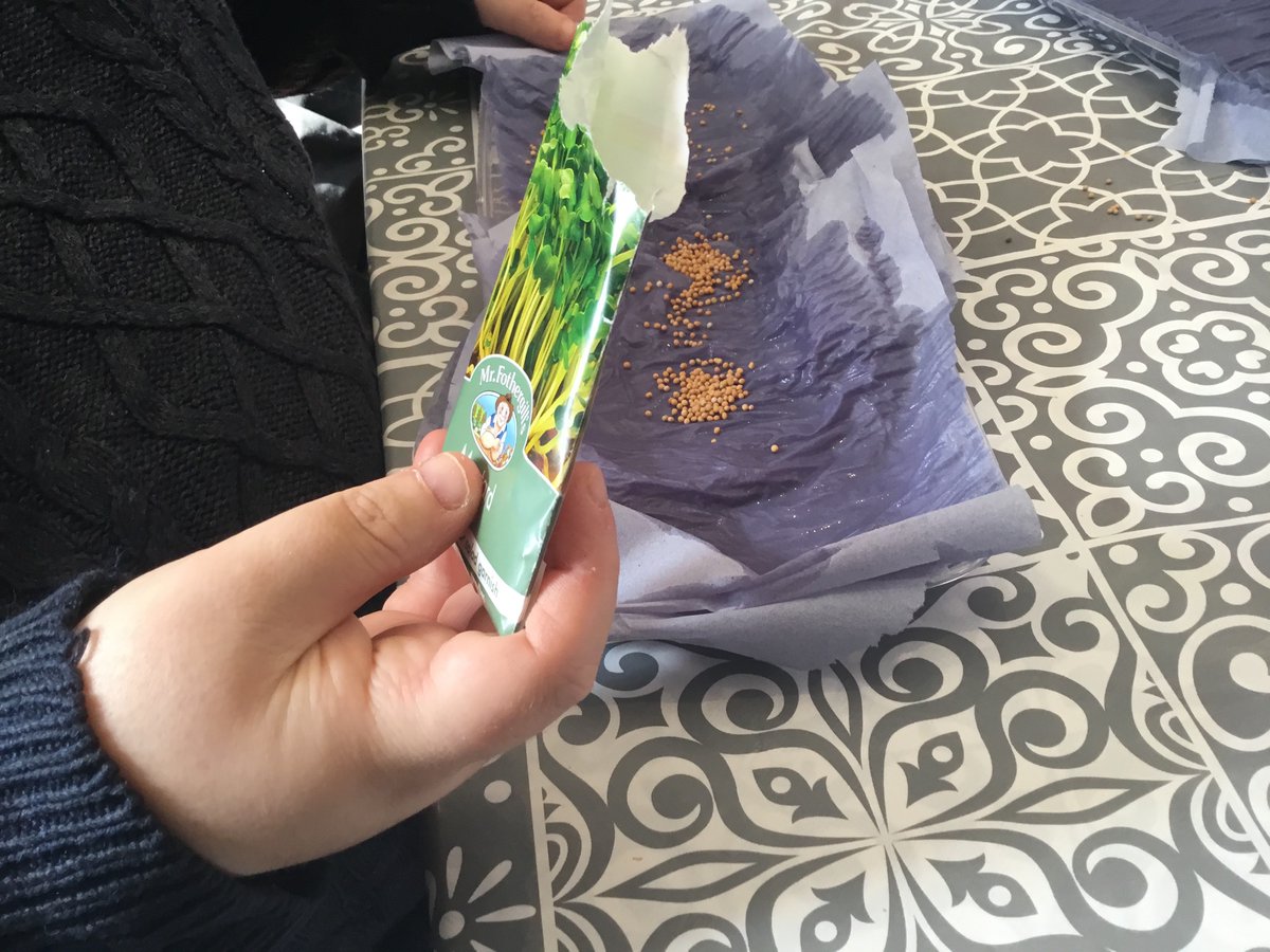 NHC_MarySeacole's tweet photo. Planting some cress yesterday #watercress #weareNHC https://t.co/GF5ZjkiynM
