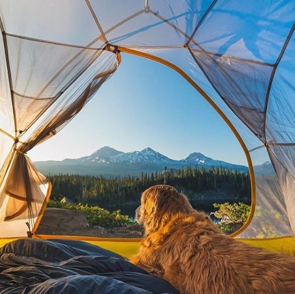 TravelOregon_nl's tweet photo. Portland regio - Kamperen

Voor wie kamperen leuk vindt: bij Xcape Pod Portland kun je kampeer of backpack materiaal huren! Bestel wat je nodig hebt online, en haal het op in Portland! Ideaal toch?

📍 Three Sisters wilderniss
📷 @natewyeth https://t.co/a228BOJADa