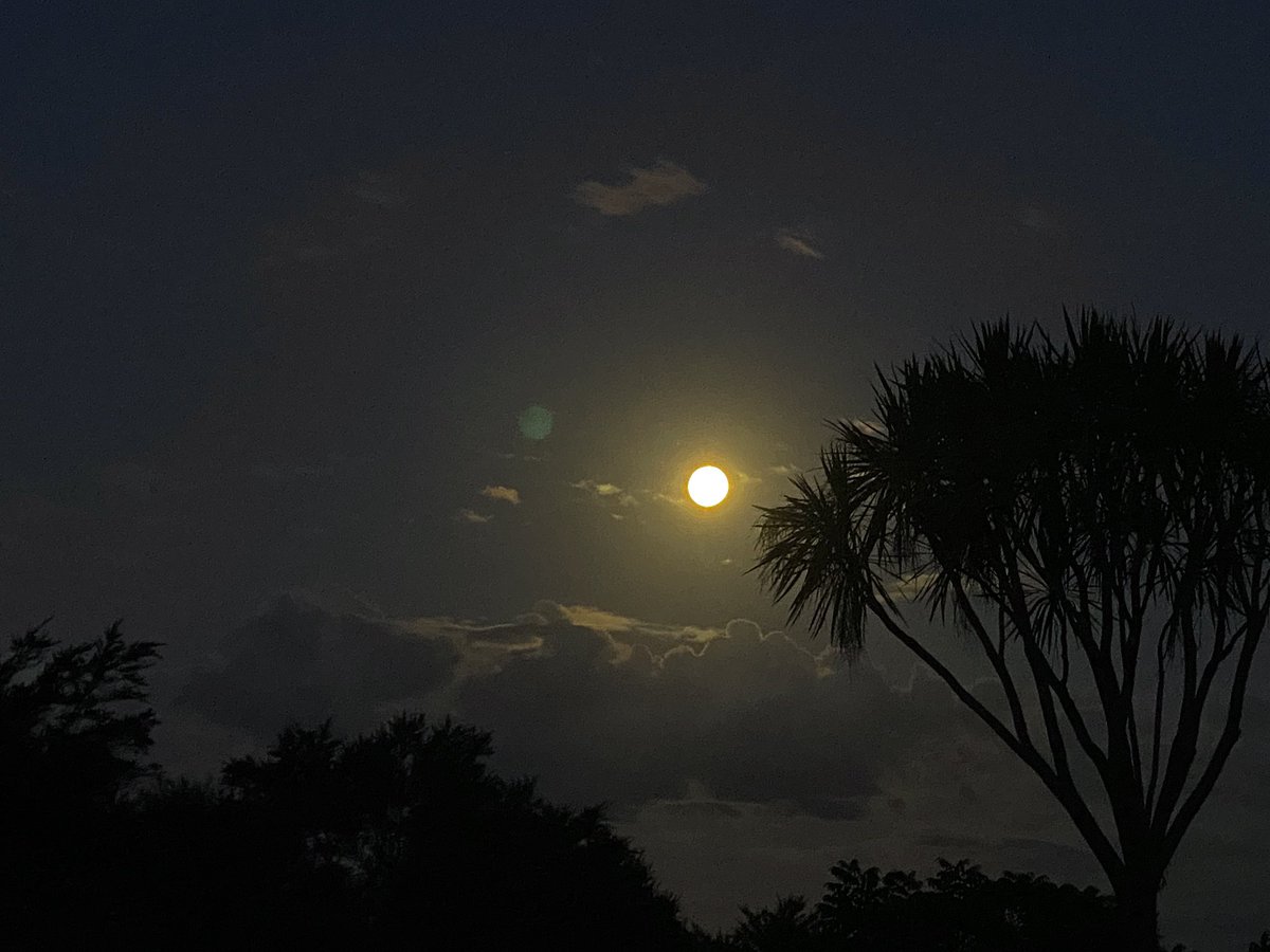 retroelectric's tweet photo. @WeatherWatchNZ wow the moon is amazing tonight! https://t.co/VsLximdHgT