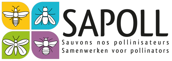 InterregFWVL's tweet photo. Le projet #SAPOLL boucle quatre ans de sensibilisation à l'importance de la pollinisation ! 🐝🦋
Bravo et merci pour nos abeilles, papillons, syrphes... 👏
https://t.co/fccsSYquHJ https://t.co/8Epetj2zwQ