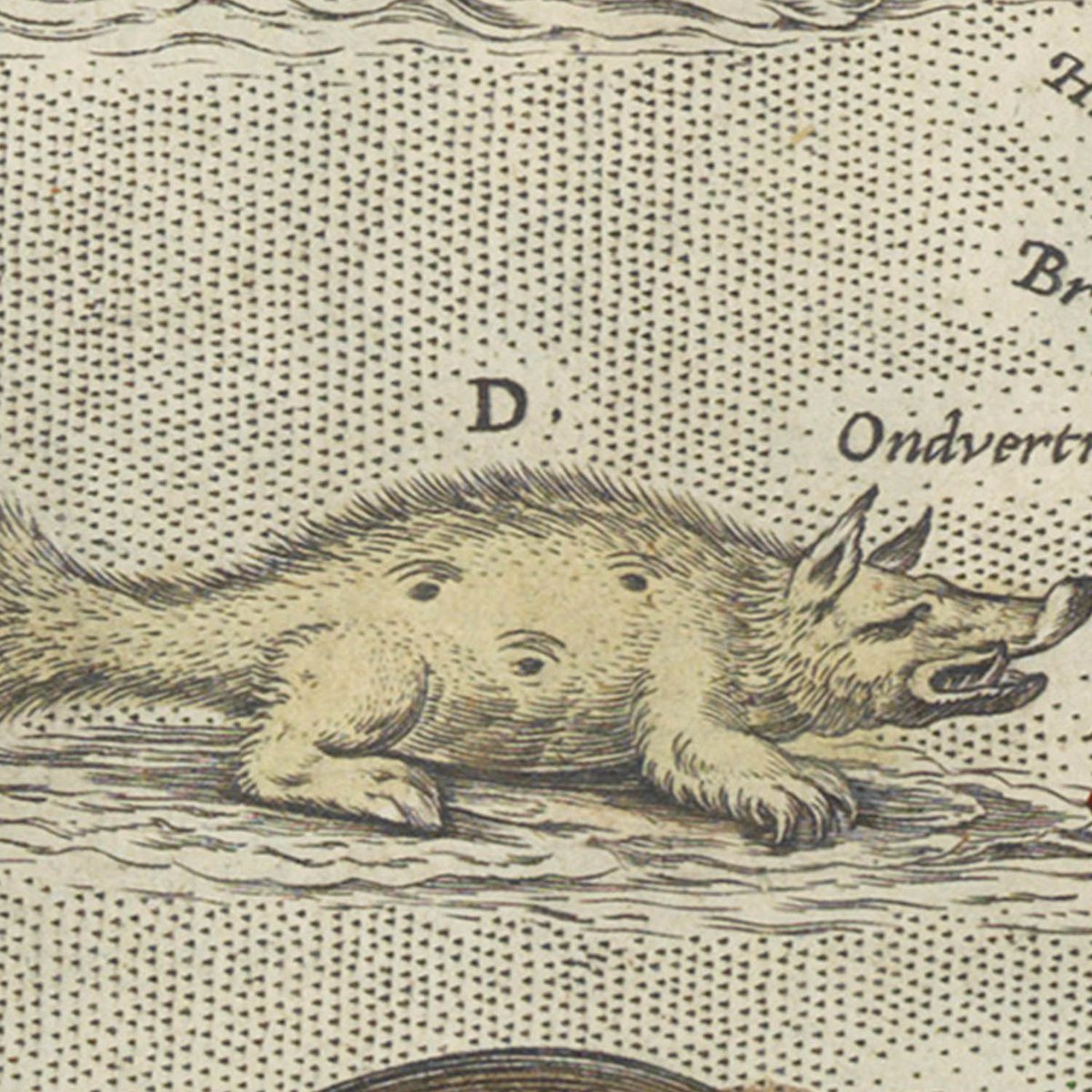 SEA MONSTER 4:The Hyena or sea hogge.Does not look like a hyena tbqhwy.