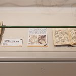 main image of this resource