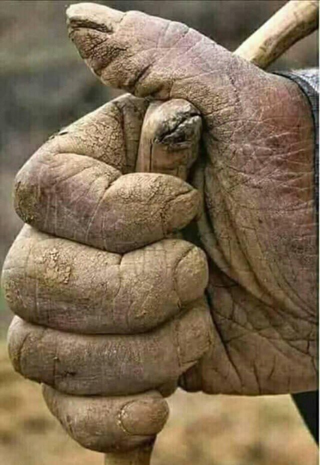 NeilLienKram's tweet photo. The hands that feed us, yet the most neglected and exploited sector of the Philippine society.

They remain poor because they are being deprived by opportunities. Not because "POVERTY IS A CHOICE" https://t.co/qzR2yUZlZe