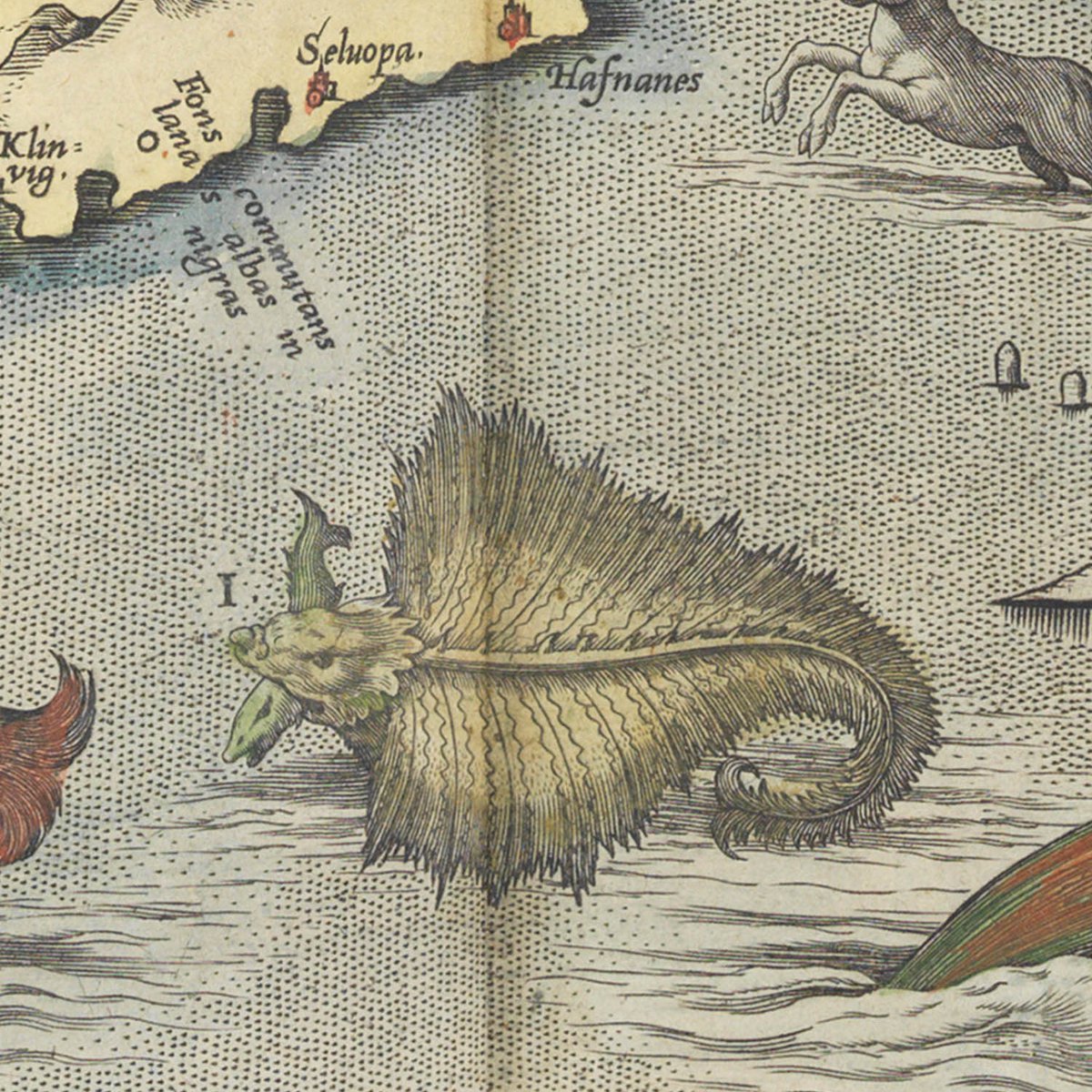 SEA MONSTER 9: The Skautuhvalurm. It is somewhat like a ray or skaite but an infinite deal bigger: when it appeareth it is like an island, and with his finnes overturns shippes and boates.