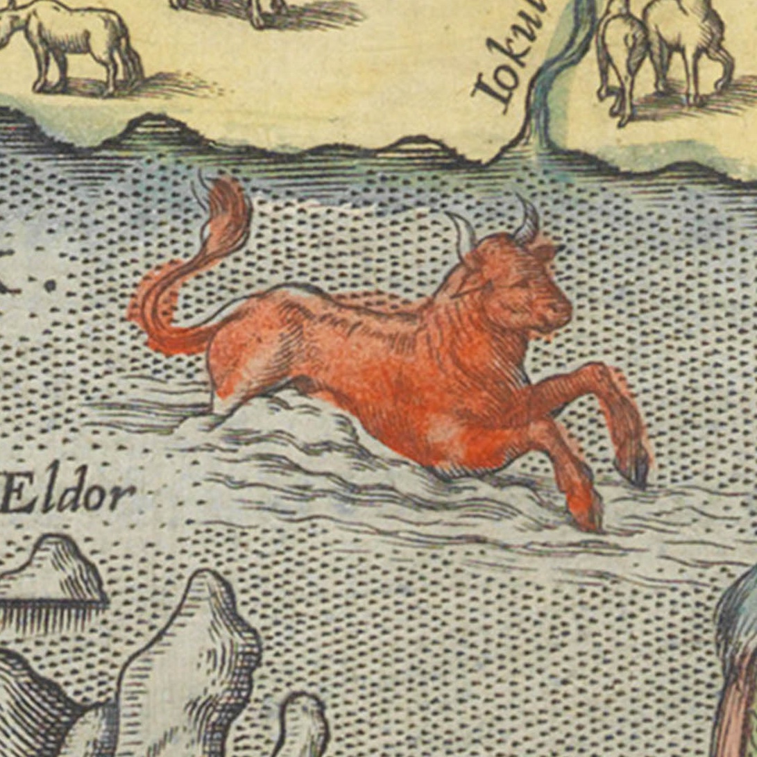 SEA MONSTER 10:The Seenaut or sea cow. They have a little bagge hanging at their nose, by the help of which they live in the water: that being broken, they live altogether upon the land, and do accompany themselves with other kine.