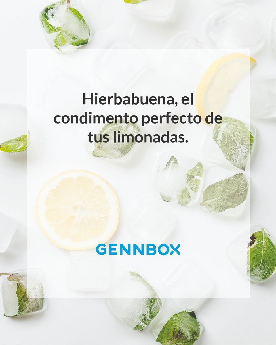 gennbox's tweet photo. PROPIEDADES DE LA HIERBABUENA: 🔹Mejora la digestión.🔹Combate el mal aliento.🔹Combate el dolor de cabeza.🔹Ayuda a mejorar el resfriado.🔹Alivia la irritación de la piel. ¿Que beneficios más podemos poner? Déjanos tu opinión en los comentario 👇🏽👇🏽👇🏽👇🏽👇🏽👇🏽👇🏽👇🏽 https://t.co/8uigP7pq0F
