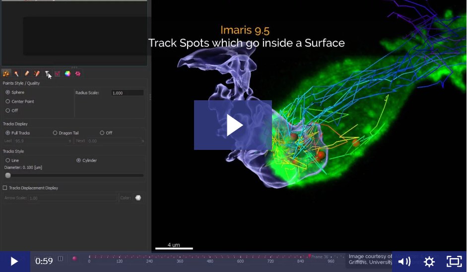 ImarisSoftware's tweet photo. Learn how to find moving objects which go inside another object - check out our NEW video tutorial >> https://t.co/C50MGuHUQy
#Imaris95 #ImarisLearning https://t.co/54vTHLSdFV