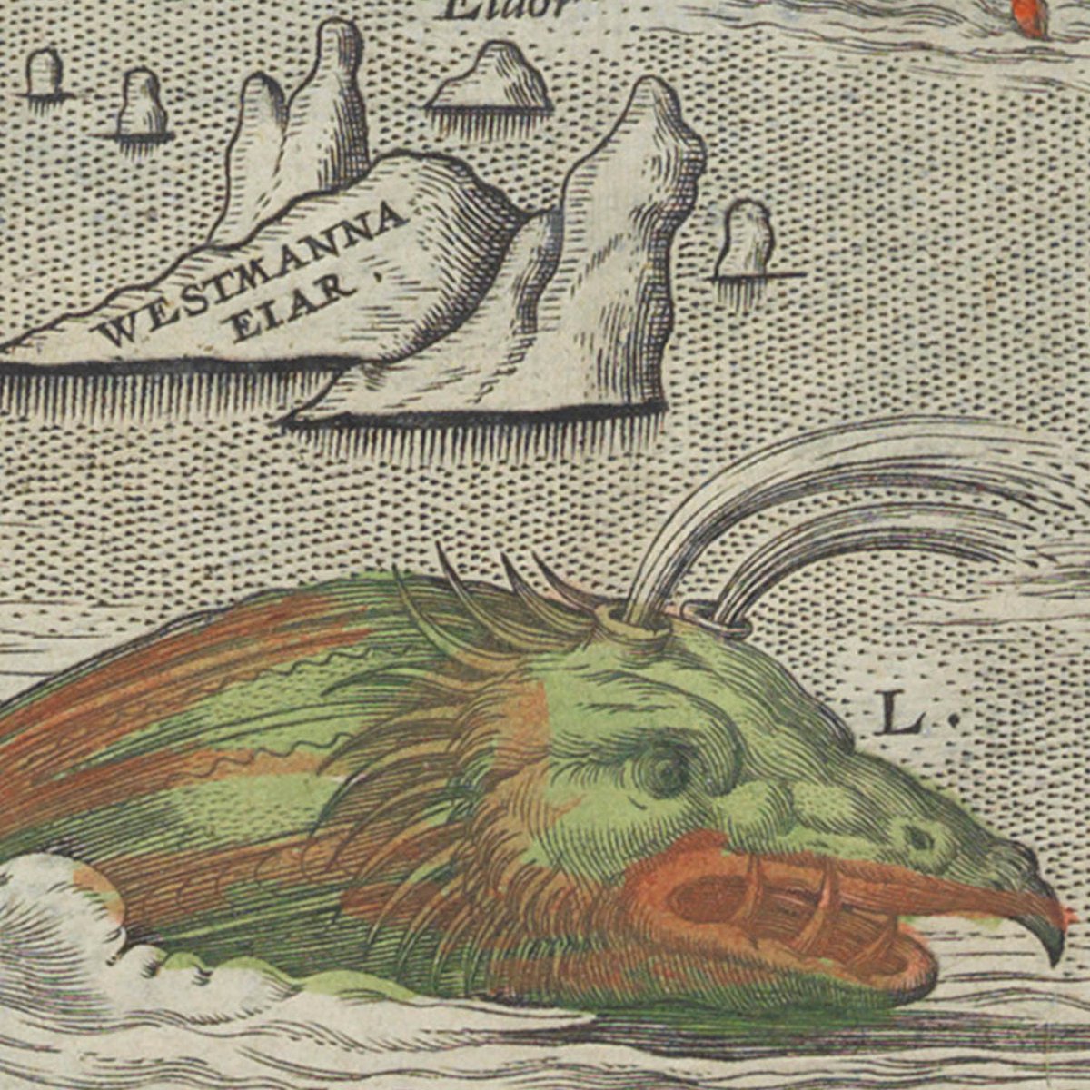 SEA MONSTER 11:The Steipereidur. It is forbidden by proclamation that no man may kill or hurt this sort of whale.Must protect.