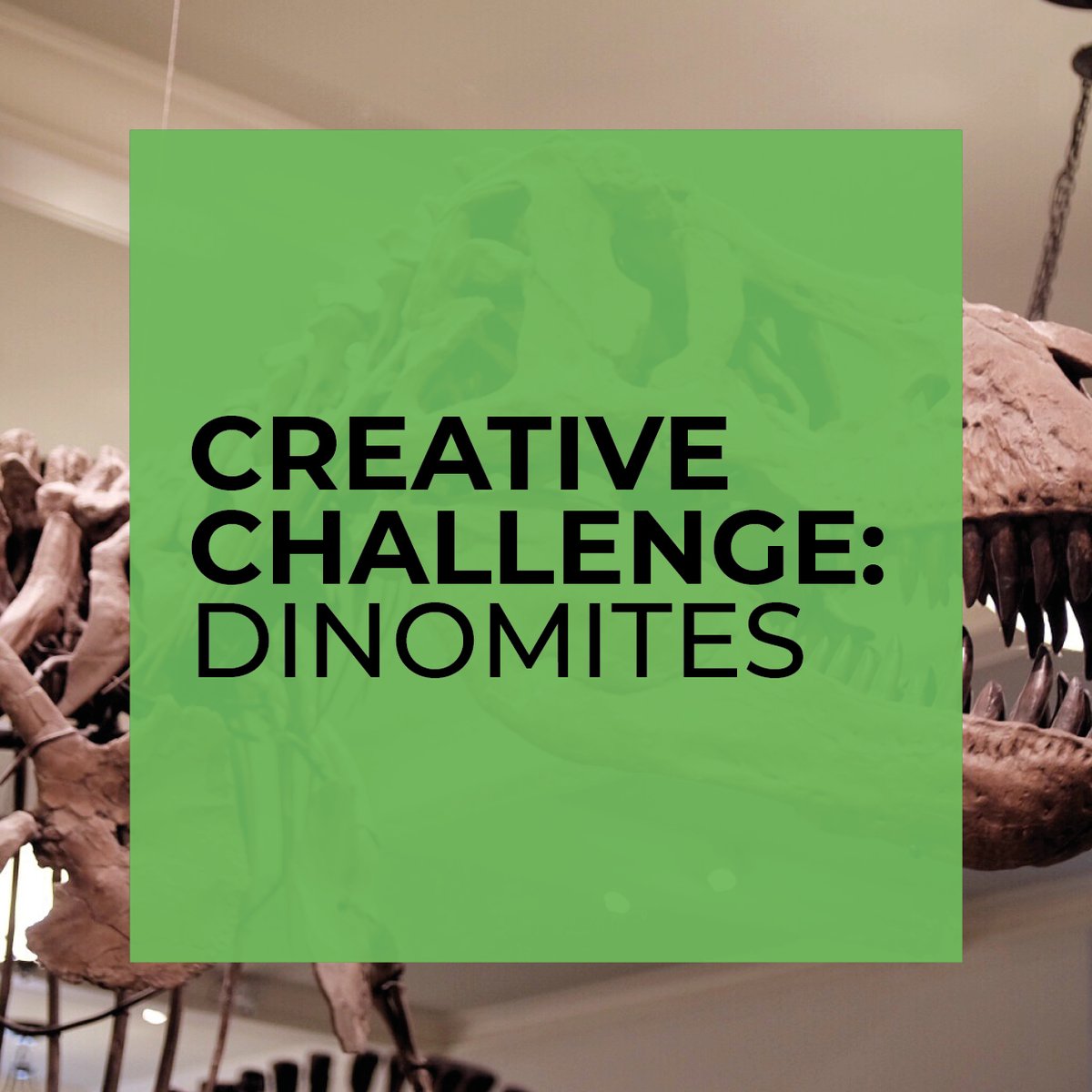 Sunderland Museum tweet media