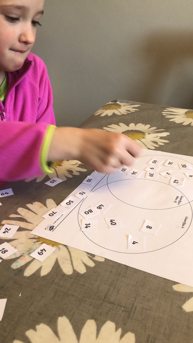 Venn diagrams this morning for maths. @YGPenyGroes