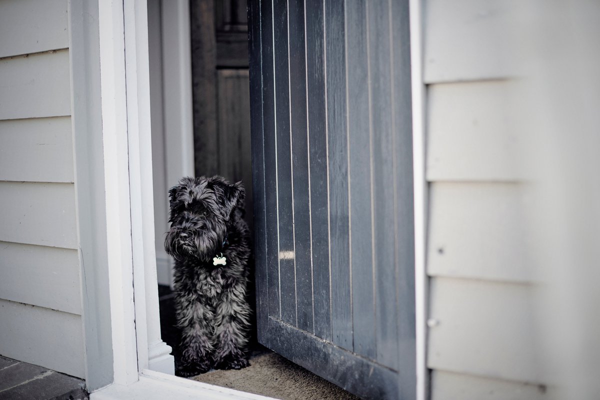 Our doors are open, but in a different way!

Find out how....  bit.ly/2wi10K2