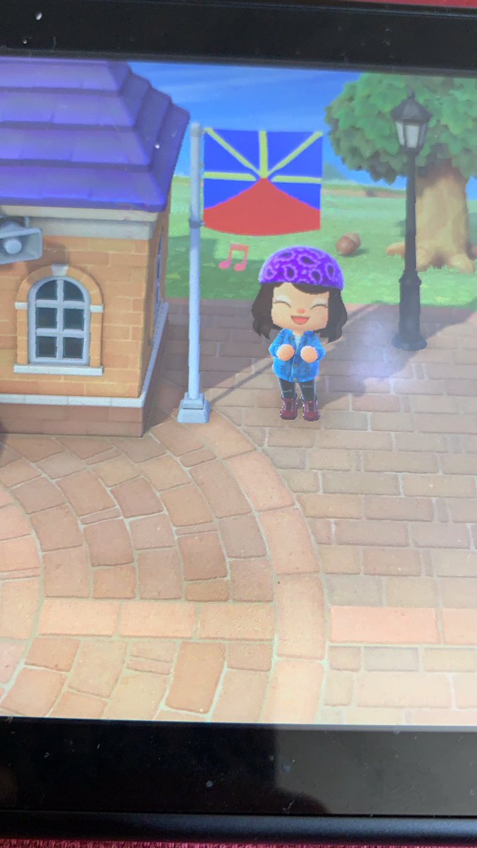 cocoforever1_'s tweet photo. #AnimalCrossingNewHorizon #ReunionIsland #Reunionislandflag https://t.co/0SrWecv6xD
