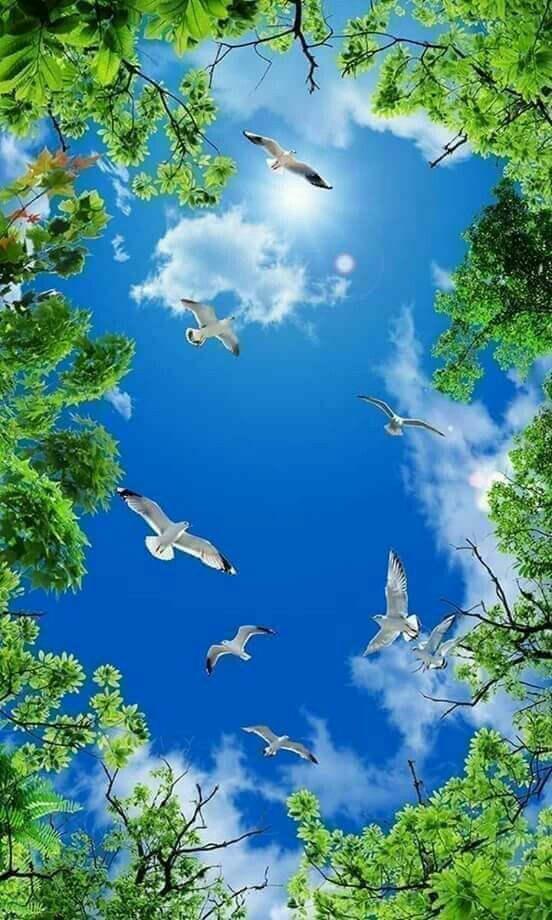 emel0371's tweet photo. Yüce Allah'ın
Sınırsız affına, merhametine, yardımına, sonsuz rızkına ve bereketine vesile olan #beratkandilinizmübarekolsun 
#HayırlıKandiller
#PrayForTheWorld 
#StayAtHomeSaveLives

1.foto Malezya Putra Camii 💙💚🕊💙💚🕊💙💚🕊💙💚 https://t.co/0hkkykRAei