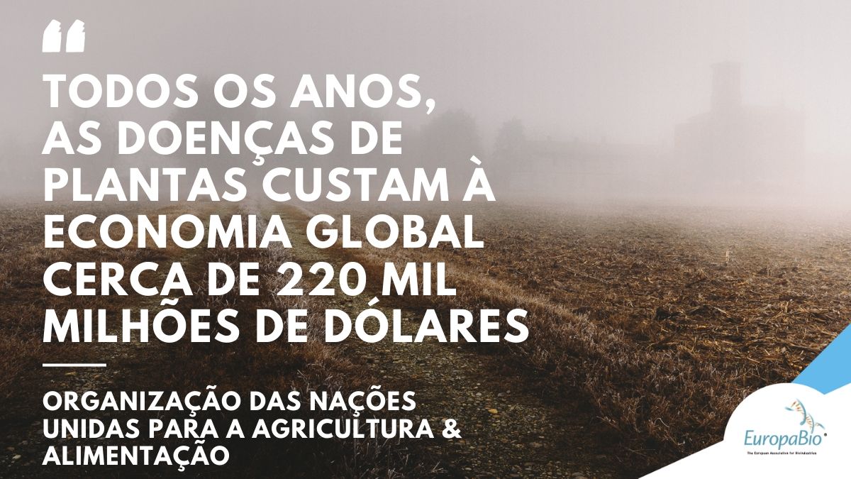 InnovPlantProtect tweet media