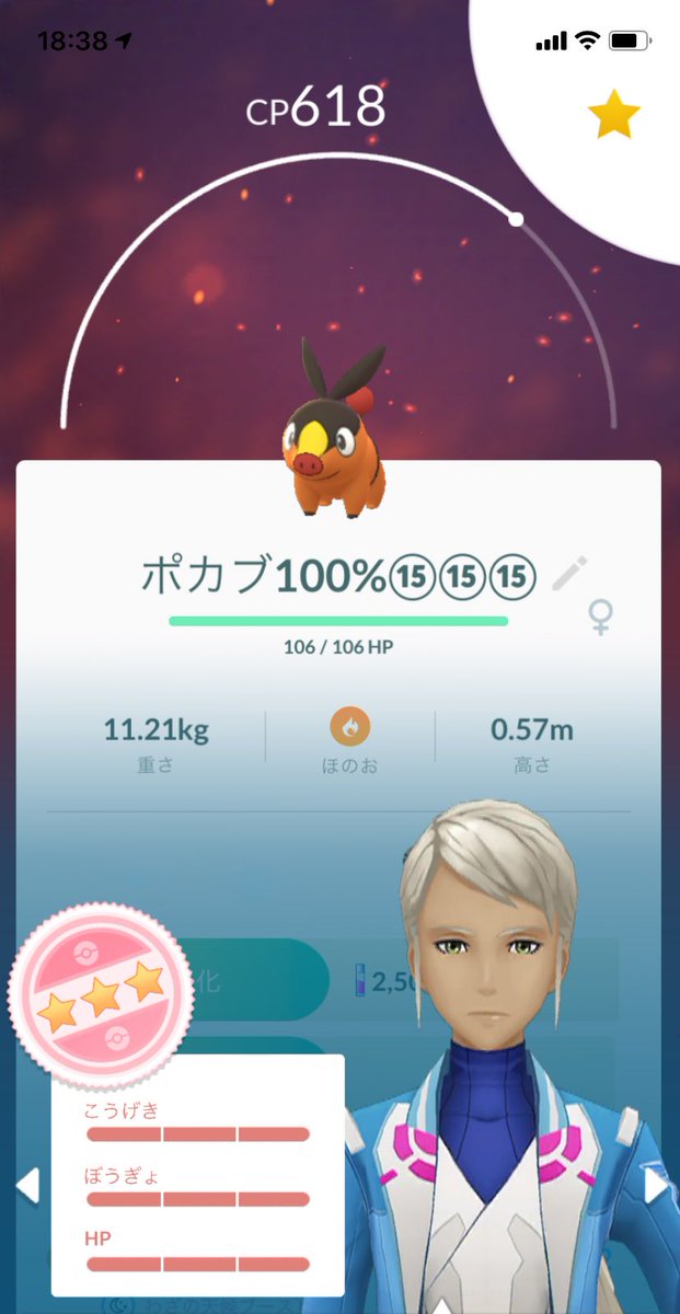 チコ ポケモンgo 新潟 A Twitteren タマゴからポカブ100 産まれた 後々のコミュデイ進化用に準備ok ポケモンgo 個体値max 個体値100 ポカブ チャオブー エンブオー