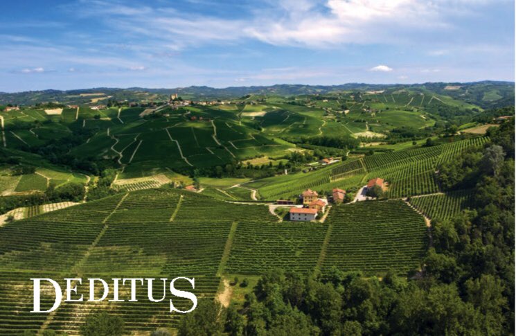 DarioBragaglia's tweet image. È Online il nuovo sito di #Deditus , l’associazione che riunisce 9 famiglie storiche di vignaioli produttori di #Barolo “Deditus è il marchio che identifica un certo modo di essere Barolo: tradizione, famiglia e vigneti di proprietà” spiega il presidente Gianni Gagliardo