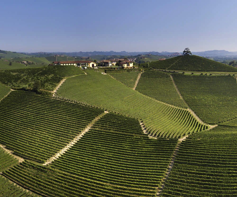DarioBragaglia's tweet image. È Online il nuovo sito di #Deditus , l’associazione che riunisce 9 famiglie storiche di vignaioli produttori di #Barolo “Deditus è il marchio che identifica un certo modo di essere Barolo: tradizione, famiglia e vigneti di proprietà” spiega il presidente Gianni Gagliardo