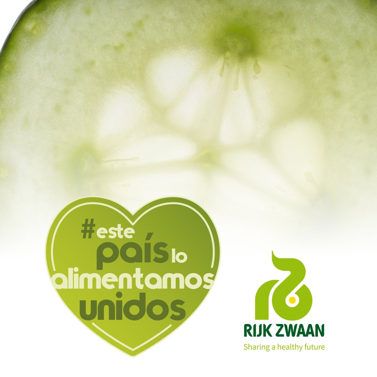 rijkzwaanES's tweet photo. En el Día Mundial de la Salud recuerda que las frutas y hortalizas contribuyen a proteger tu salud contra el #coronavirus. #EstePaísLoAlimentamosUnidos https://t.co/znPOvMzJfn