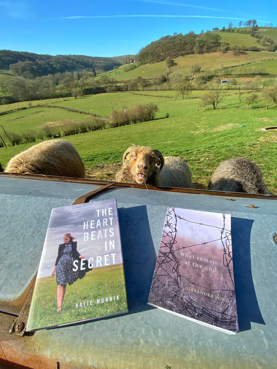 A v personal  #booksandsheep post:The sheep are very excited to share that their v own shepherdess will be in conversation with Katie Munnik  @messy_table on Thurs @ 2:30pm BMT for the  #StayAtHomeLitFest. 1/2 @SerenBooks  @CJessCooke