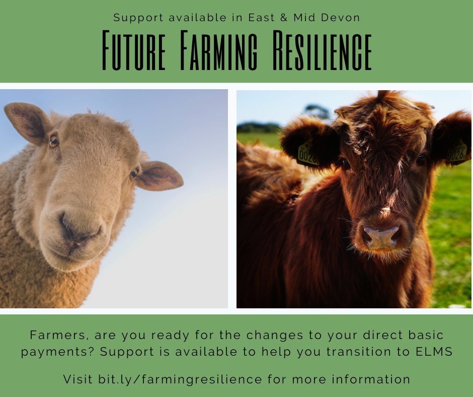 DevonFarms's tweet image. #Farmers in East or Mid Devon, are you ready for the changes to your direct payments? If the answer is no &amp;amp;you manage a lowland grazing farm we want to work with you to support your transition to the Environmental Land management scheme. Find out more here soc.devon.cc/pl2G0