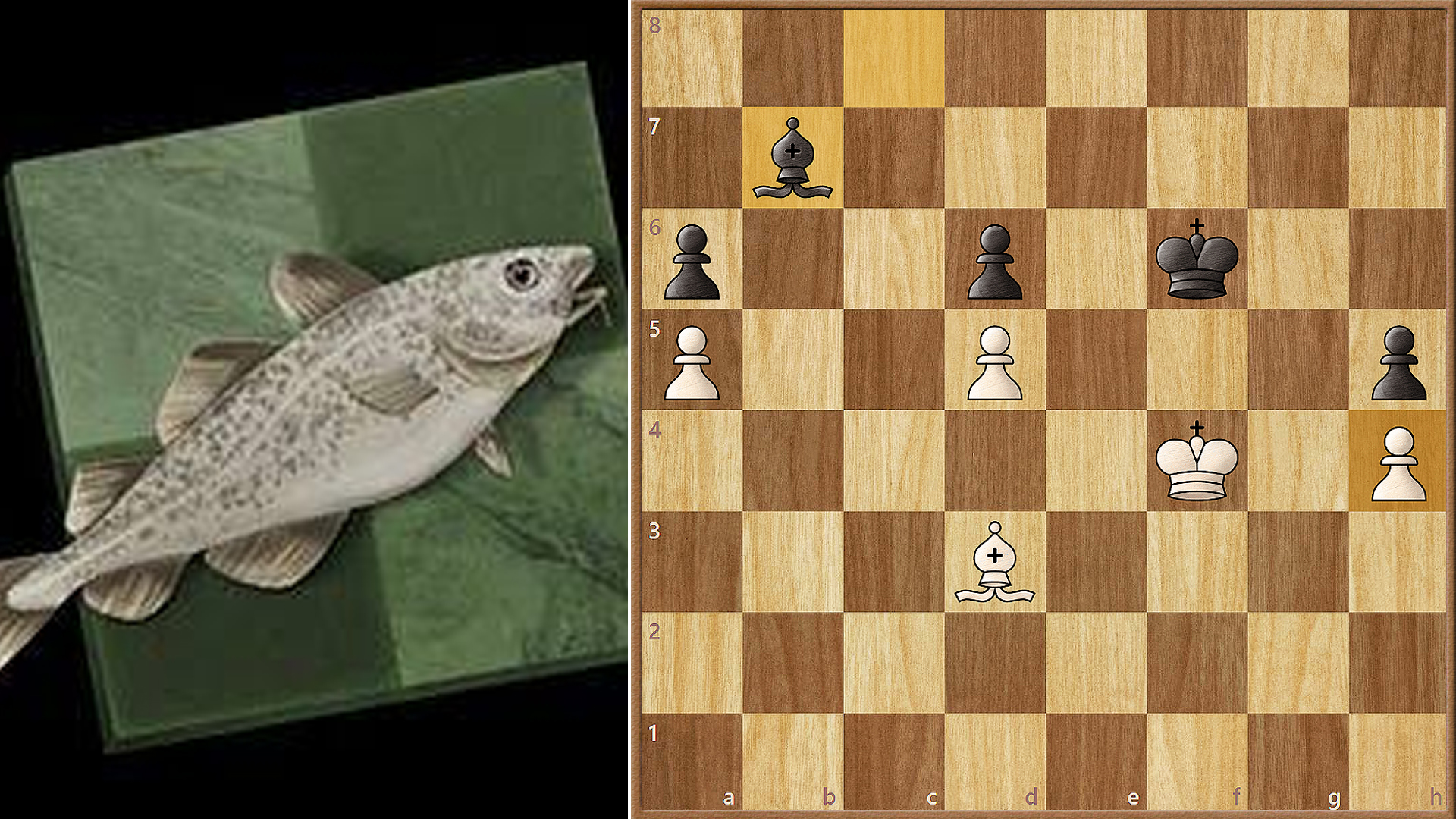 Stockfish Chess Engine