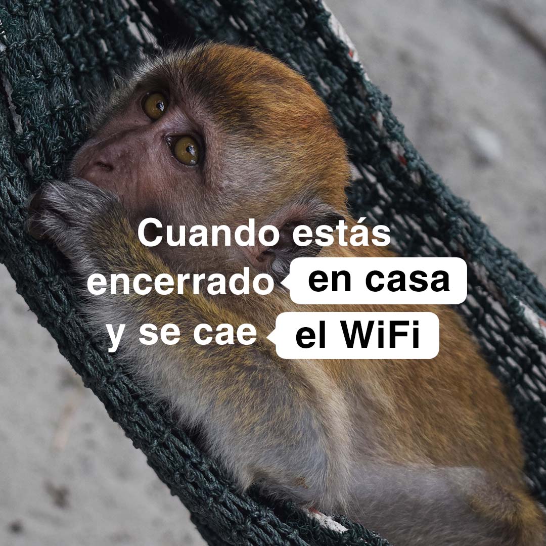 A los 3 minutos ya estás intentando hacer fuego con dos palos 🔥
Descárgate nuestra app en: leemurapp.com