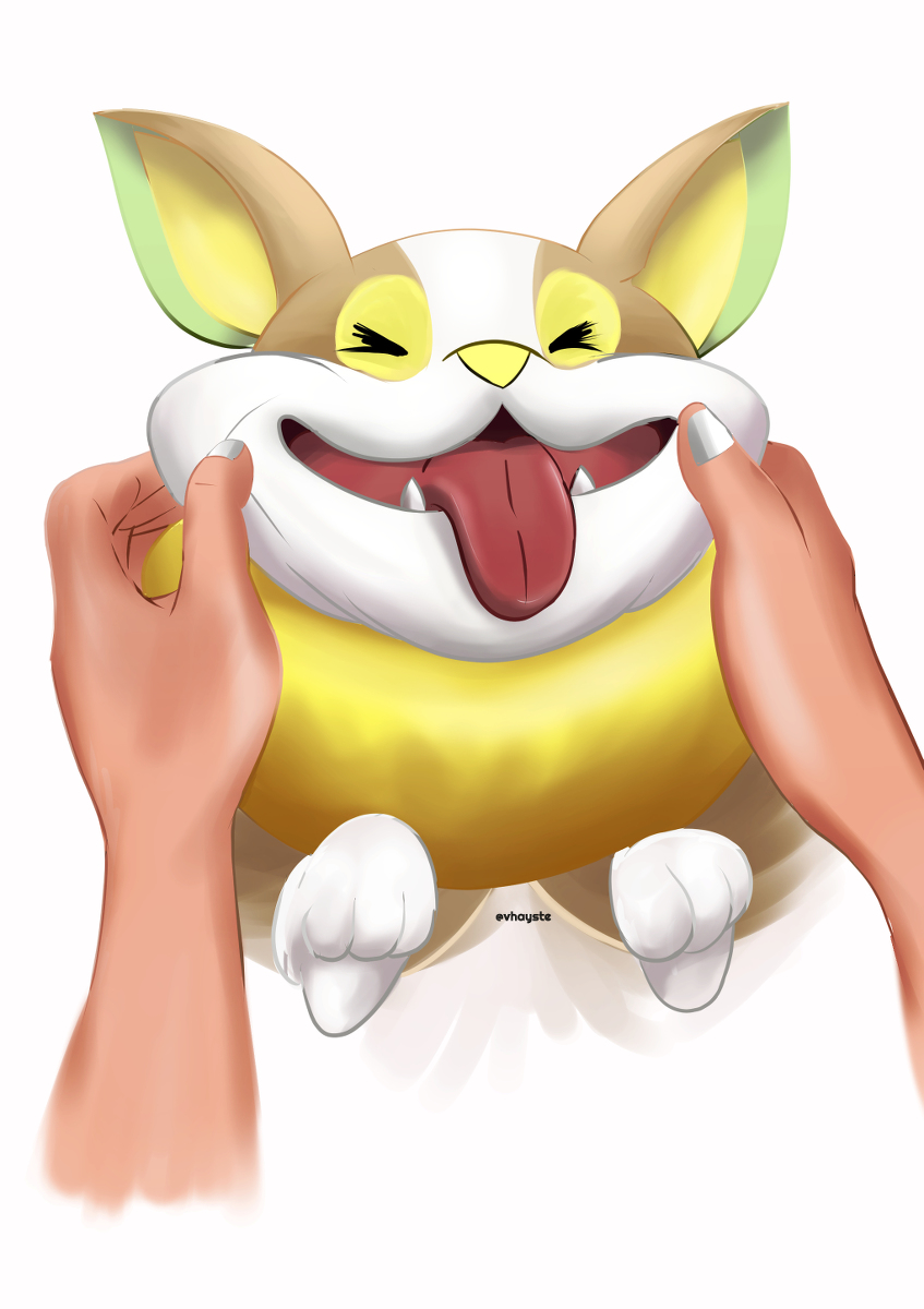 ワンパチ ワンパチ