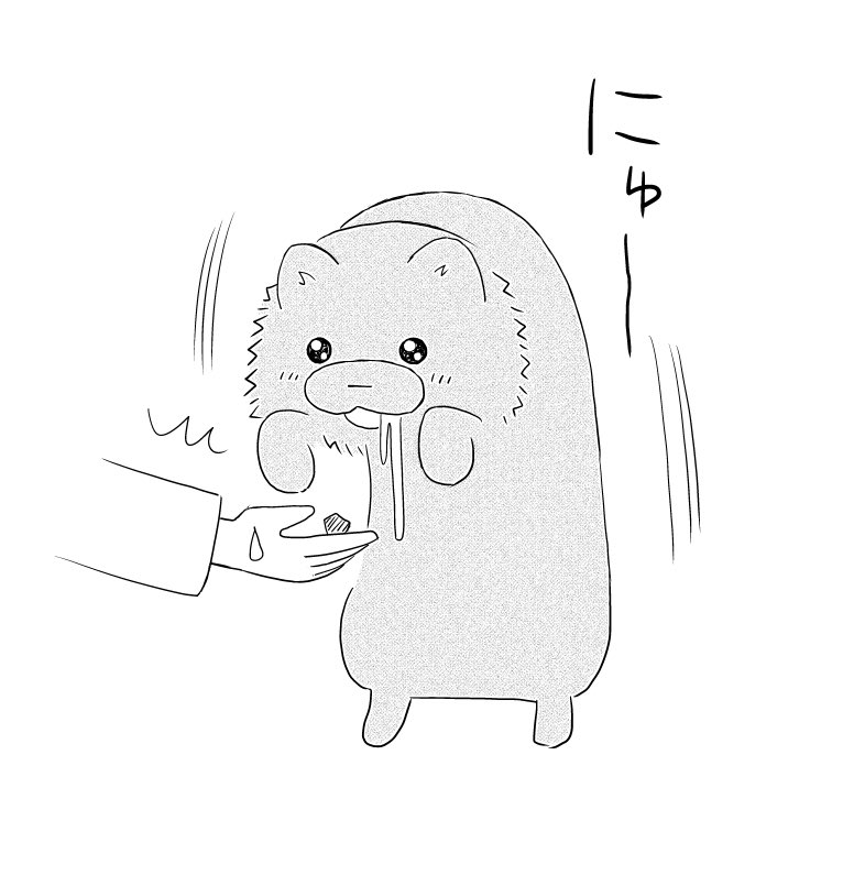 宗次郎におやつをあげる時はちゃんと低い位置に差し出してるのに、犬は喜びで無闇に上へ伸びてしまっておやつが遠くなってるのほんと笑える。わざわざ立って顔だけ下向いてるの。妖怪犬毛玉。 